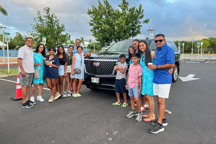 One-Way VIP Transfer: Honolulu Airport, Waikiki, Cruise Port