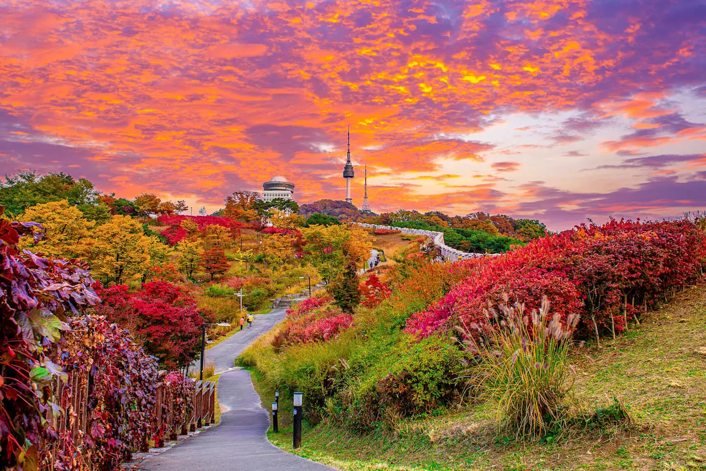 ✈ COREA DEL SUD | Seul - Alla scoperta di Seul con attività 3*, 8 n...