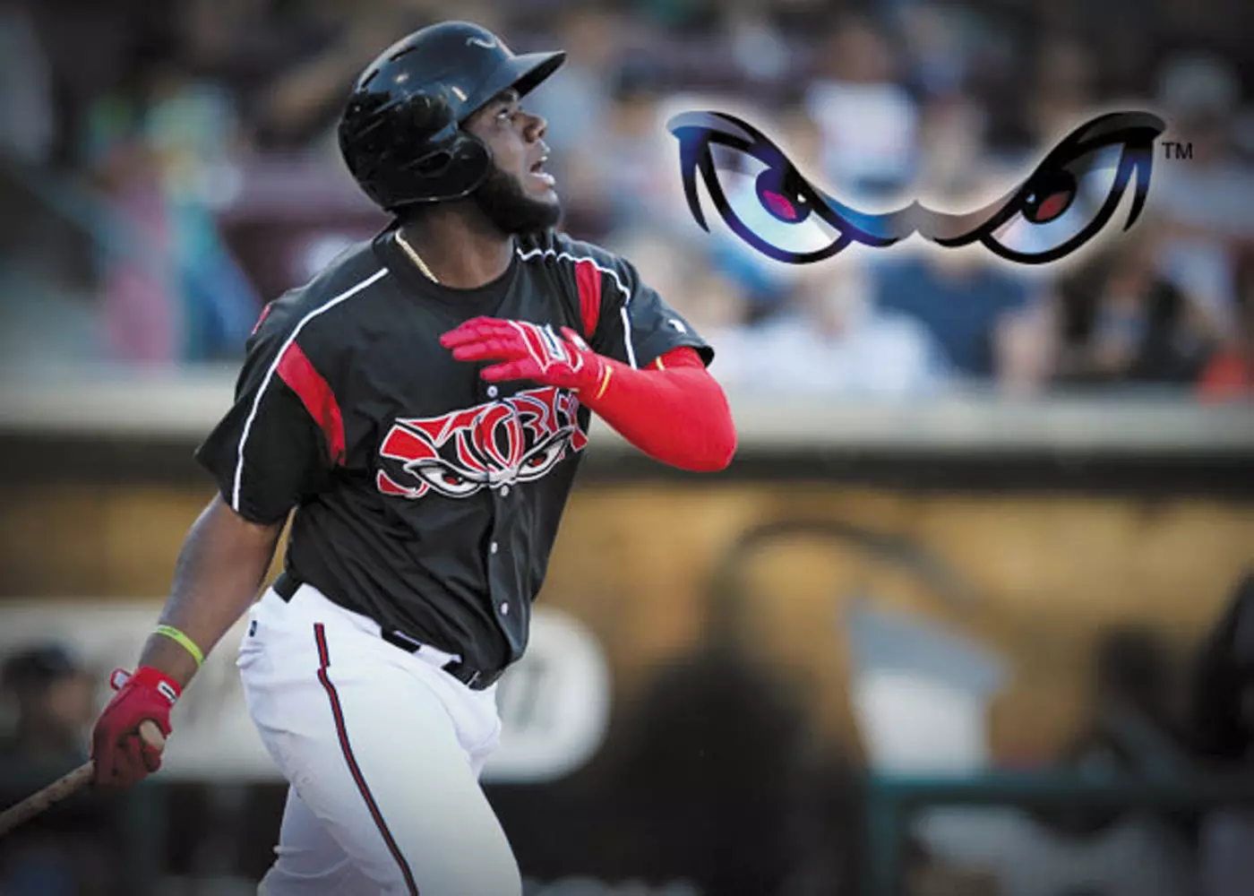 $15 For 2 Tickets In The Home Plate Or Dugout Section (Reg. $30) - Primary Image