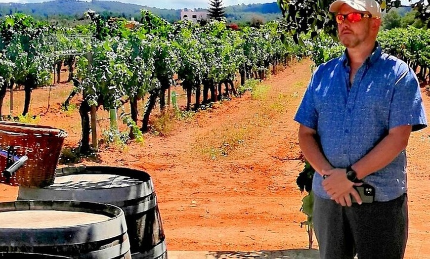 Image 2: Tour privado de Ibiza Winetasting