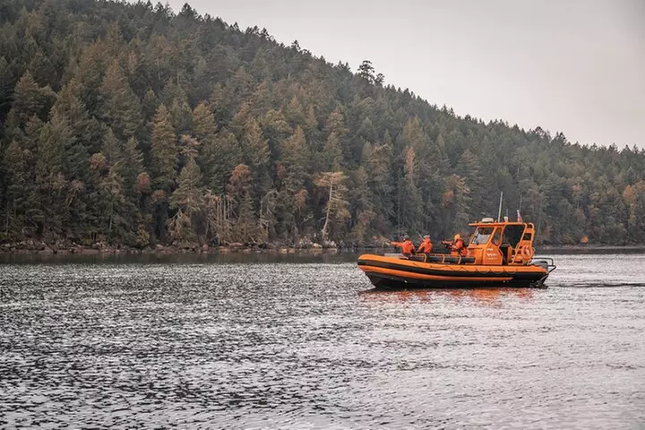 Whale Watching Nanaimo Open Boat Tour - Primary Image