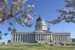 Discover the Highlights of Downtown Salt Lake City - Second Medium