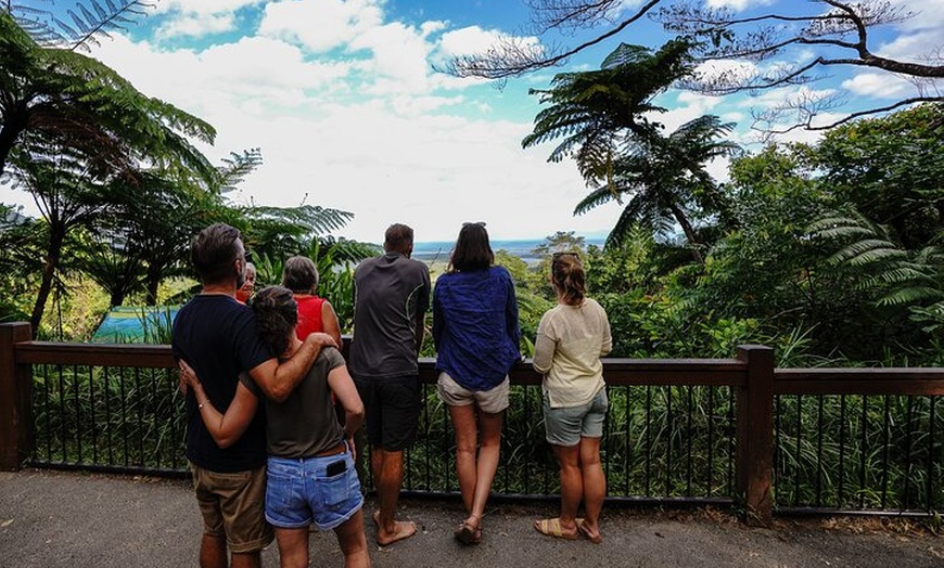 Image 22: Daintree, Cape Tribulation & River Cruise from Port Douglas