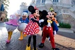 Transport to Orlando Theme Parks - Second Medium