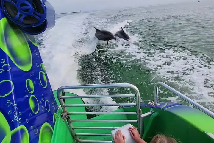 Hydrojet Dolphin Cruise in Destin FL - Primary Image