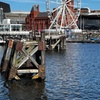 Image 3: Cardiff Bay Private Self-Guided Tour