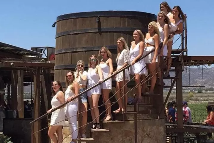 Luxury Private Wine Tasting Tour to Guadalupe Valley from San Diego