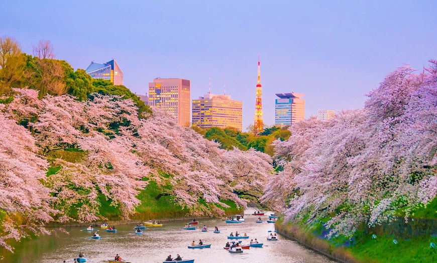 Image 7: ✈ JAPAN | From Tokyo to Osaka - Exposition universelle et découvert...