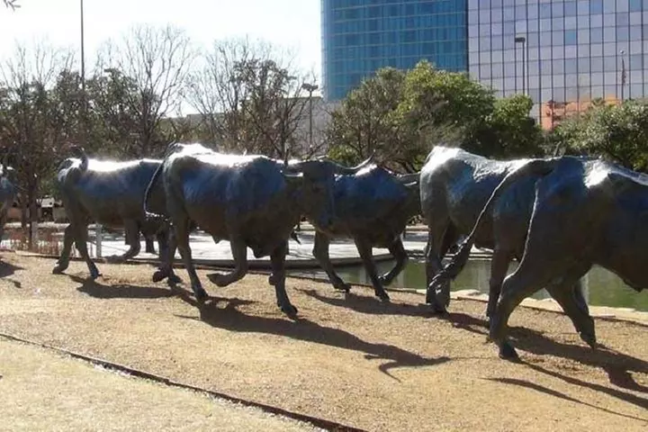 75 Min Dallas City Highlights Tour