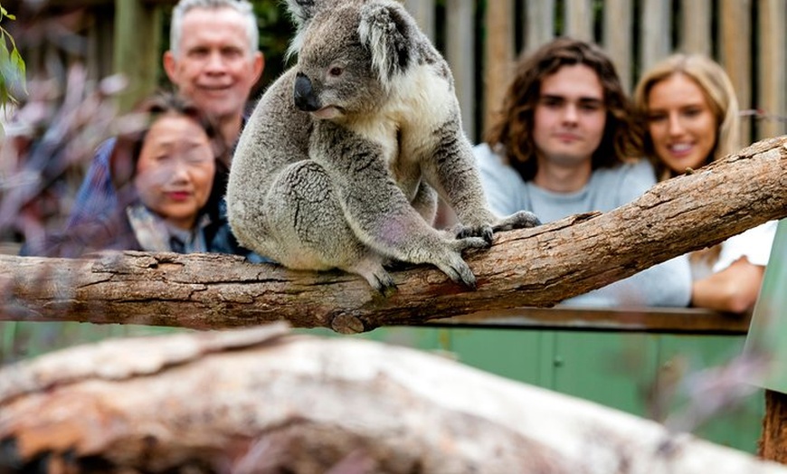 Image 8: Moonlit Sanctuary Wildlife Conservation Park Daytime General Entry ...