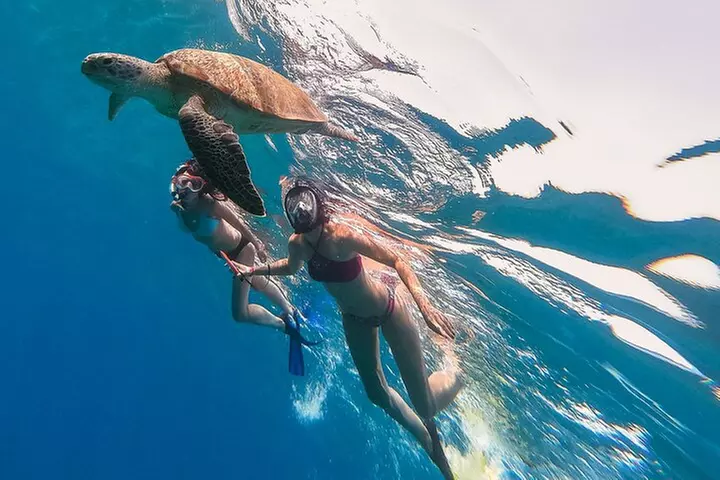 5 in 1 Deluxe Cruise: Turtle Snorkeling, Activities and Pick-Up