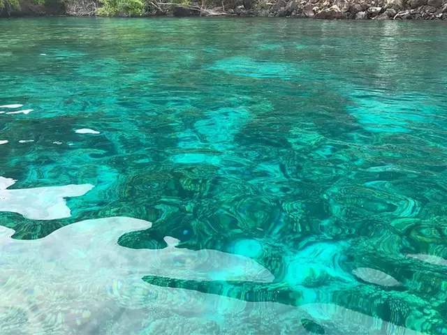 Guided Outrigger Canoe Tour in Kealakekua Bay