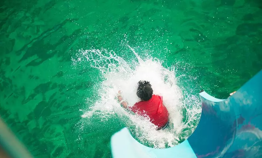 Image 6: Port Stephens: Splash 'n' Slide Dolphin Cruise