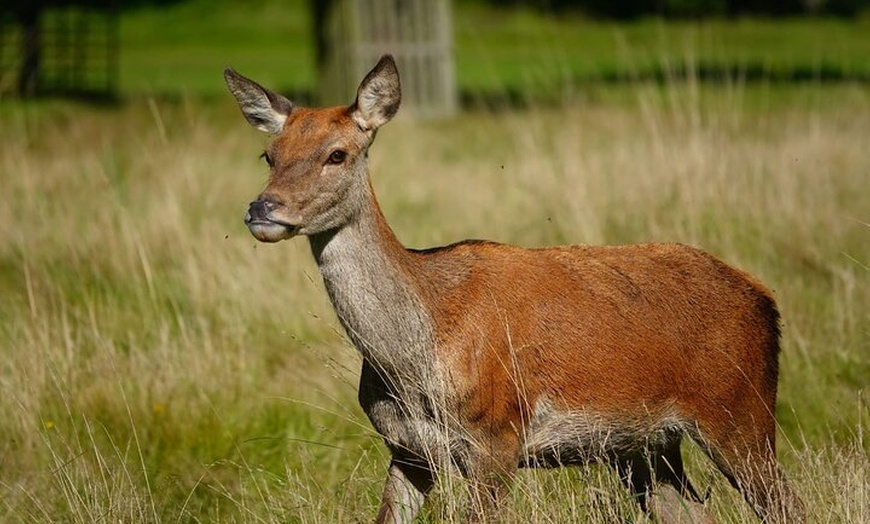 Image 12: Hampton Court Palace from Southampton Cruise Terminal