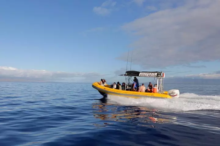 Lanai Deluxe Dolphin Adventure & 3 Snorkel Sites