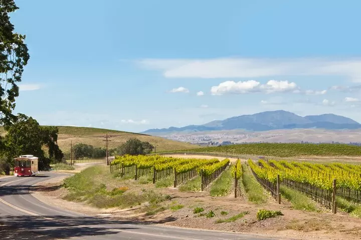 4 Hour Livermore Valley Wine Tour