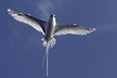 Private Biologist-Led Sea'fari (up to 10 passengers) - Second Medium