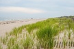 Hamptons, Sag Harbor & Outlet Shopping, 1-Day Tour from NYC - Second Medium