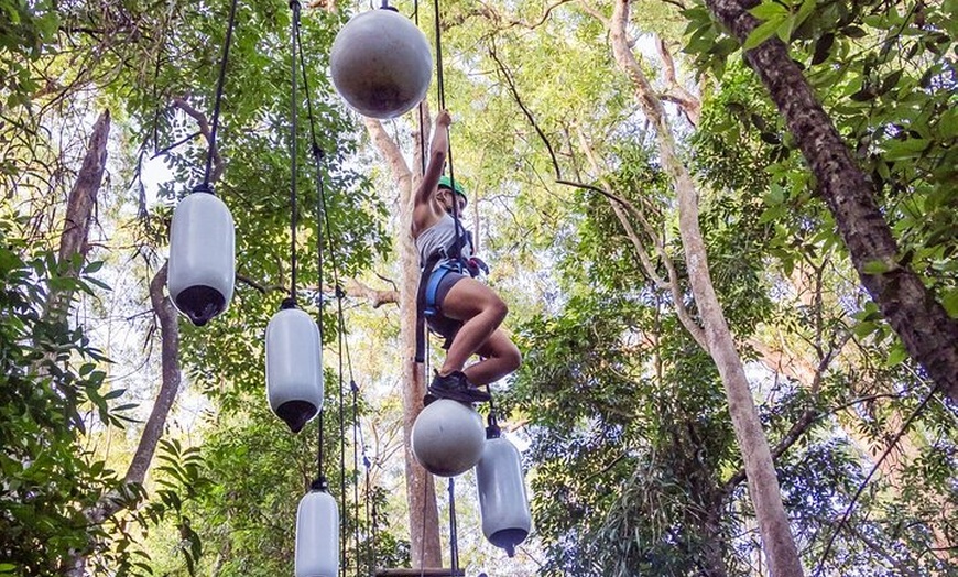 Image 8: Sunshine Coast Adventure Park TreeTop Challenge