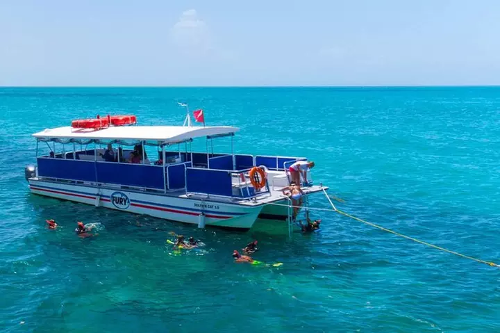 Key West Dolphin Watch and Snorkel Tour - Eco Adventure