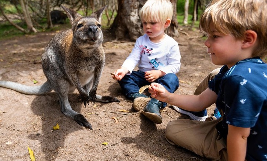 Image 11: Moonlit Sanctuary Wildlife Conservation Park Daytime General Entry ...