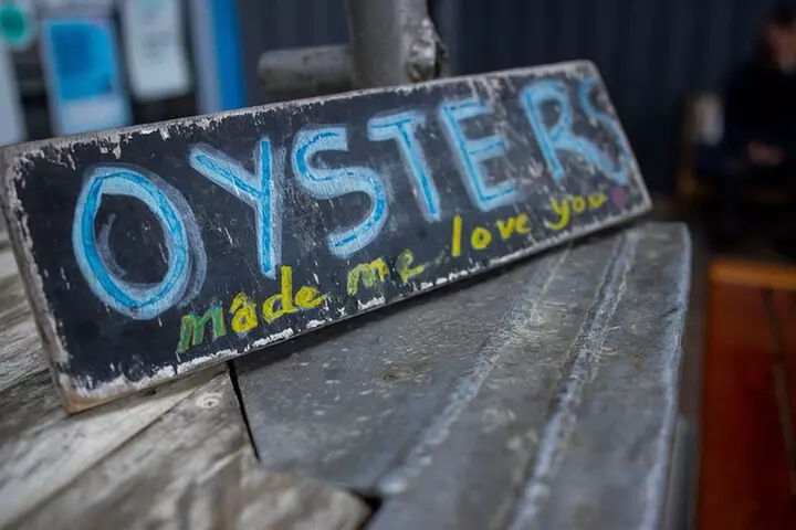 Hobart: Bruny Island Adventure: Hiking, Highlights & Local tastes