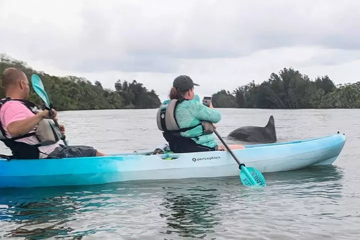 Wildlife Refuge Manatee, Dolphin & Mangrove Kayak or Paddleboarding...