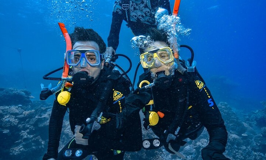 Image 7: Great Barrier Reef with Cultural Guides-Dreamtime Dive & Snorkel