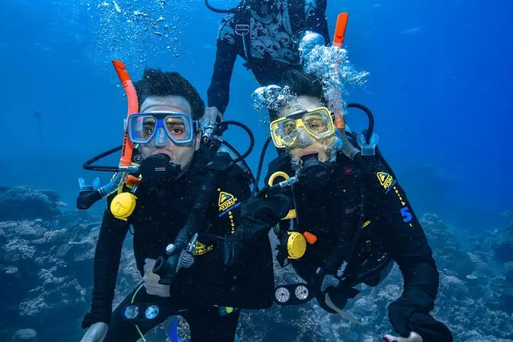 Great Barrier Reef with Cultural Guides-Dreamtime Dive & Snorkel