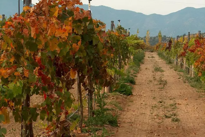 2 Hours Water to Wine Kayak Trip from Cottonwood
