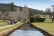 Port Arthur Full-day Guided Tour with Harbour Cruise and Tasman National Park - Image 7