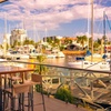 Image 5: Townsville Boat Cruise & Yacht Club Lunch Package Sailing Charter