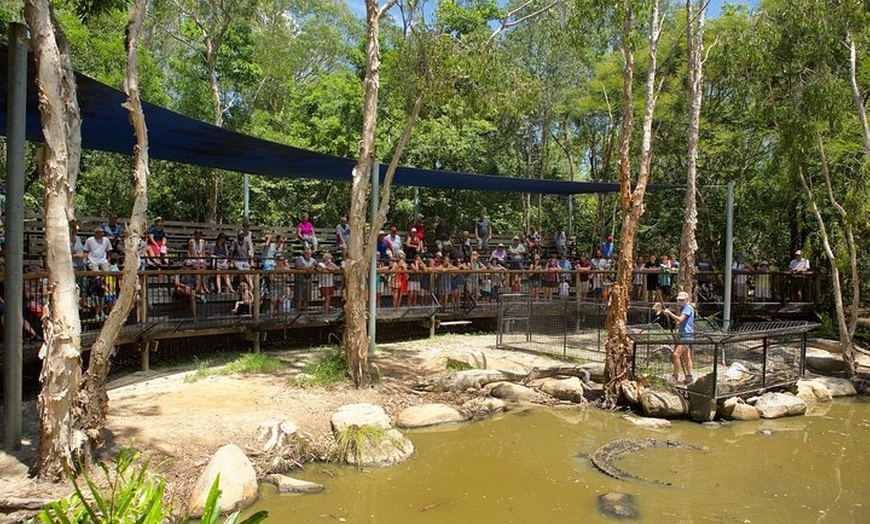 Image 5: Hartley's Crocodile Adventures Breakfast with the Koalas