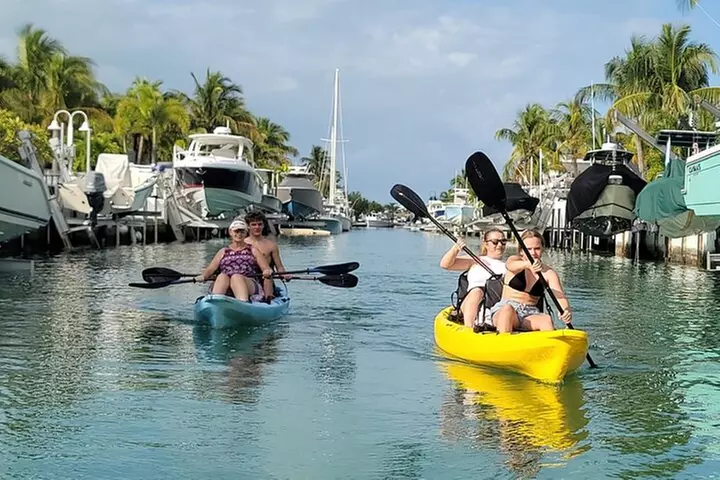 Kayak through Mangrove Forests in the Florida Keys