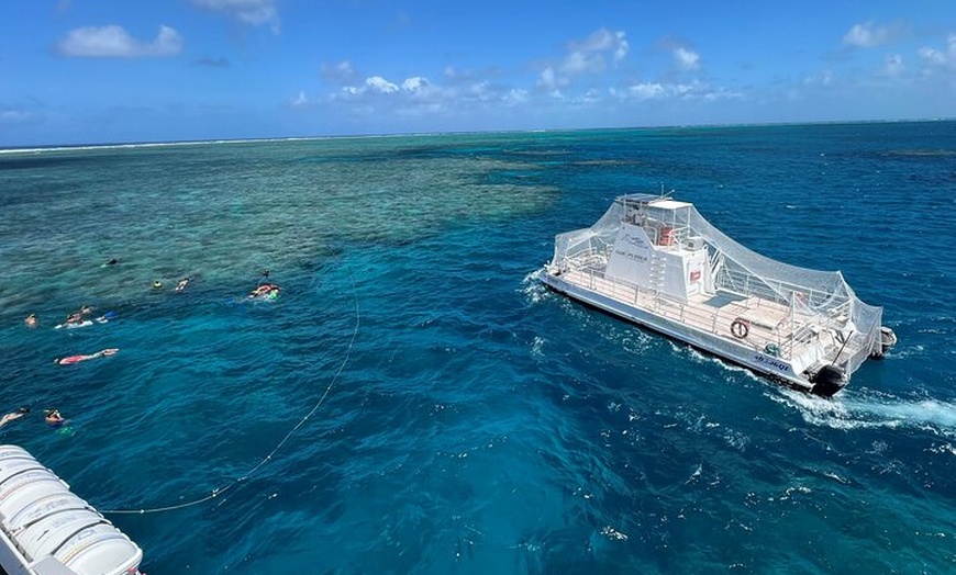 Image 15: Great Barrier Reef Snorkeling and Diving Cruise from Cairns