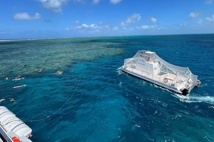 Great Barrier Reef Snorkeling and Diving Cruise from Cairns
