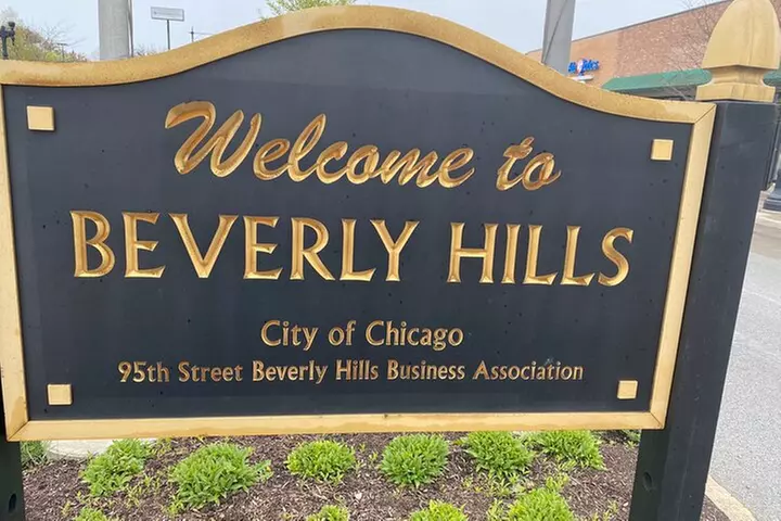 Small-Group Tour of Chicago Neighborhoods: North and South Side