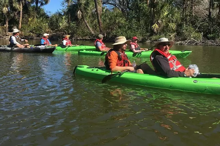 Manatee and Dolphin Kayaking Encounter
