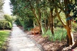 Middleton Place Admission with Self Guided Tour and Lunch - Second Medium