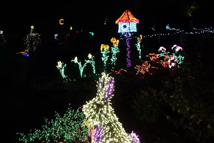 Christmas Lights and Snowflake Lane photo tour