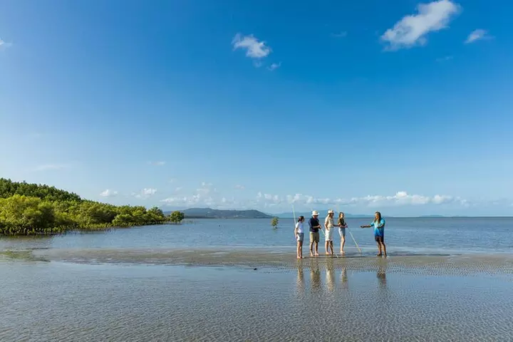 Small Group Daintree Rainforest and Aboriginal Coastal Adventure - Primary Image