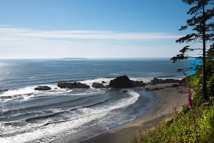 Olympic National Park Day Tour from Seattle