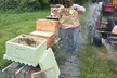 Promise Land Bee Farm Private Tour in Charleston - Second Medium