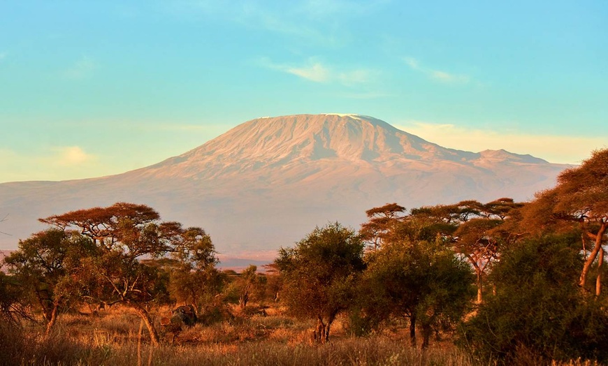 Image 11: ✈ KENYA | Mombasa - Du majestueux Kilimandjaro jusqu'aux rives de D...