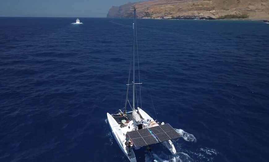 Image 10: Excursiones ecológicas en Catamarán en Gran Canaria
