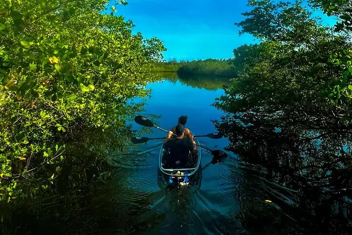 Clear Kayak Ecotour at Robinson Preserve in Bradenton, Florida