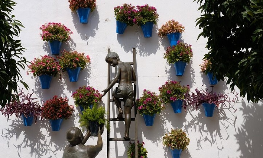 Image 8: Tour Especial Festival Patios de Córdoba
