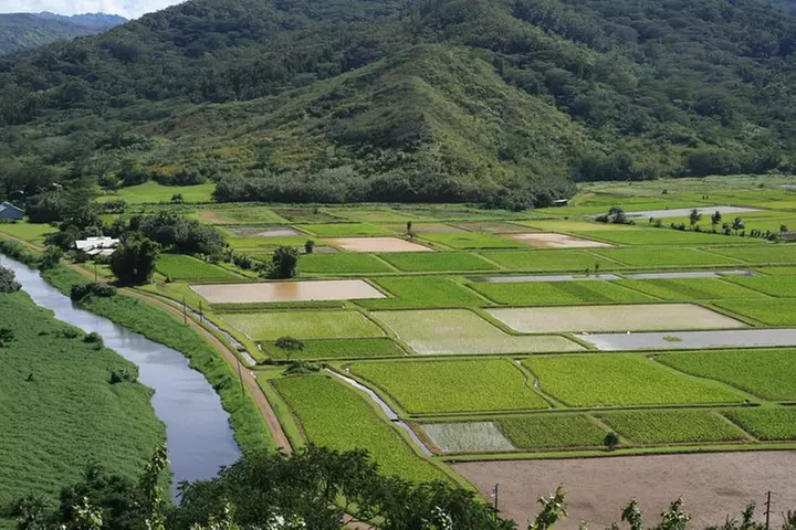 Best Kauai Northeast, Fern Grotto River Cruise & Lighthouse Tour