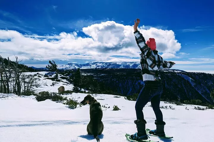 Snowshoe Tour Big Bear Lake with Hot Chocolate