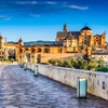 Image 1: Excursión a Córdoba desde Sevilla en Grupo